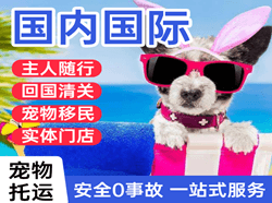 扬州航空托运国际宠物托运 【国